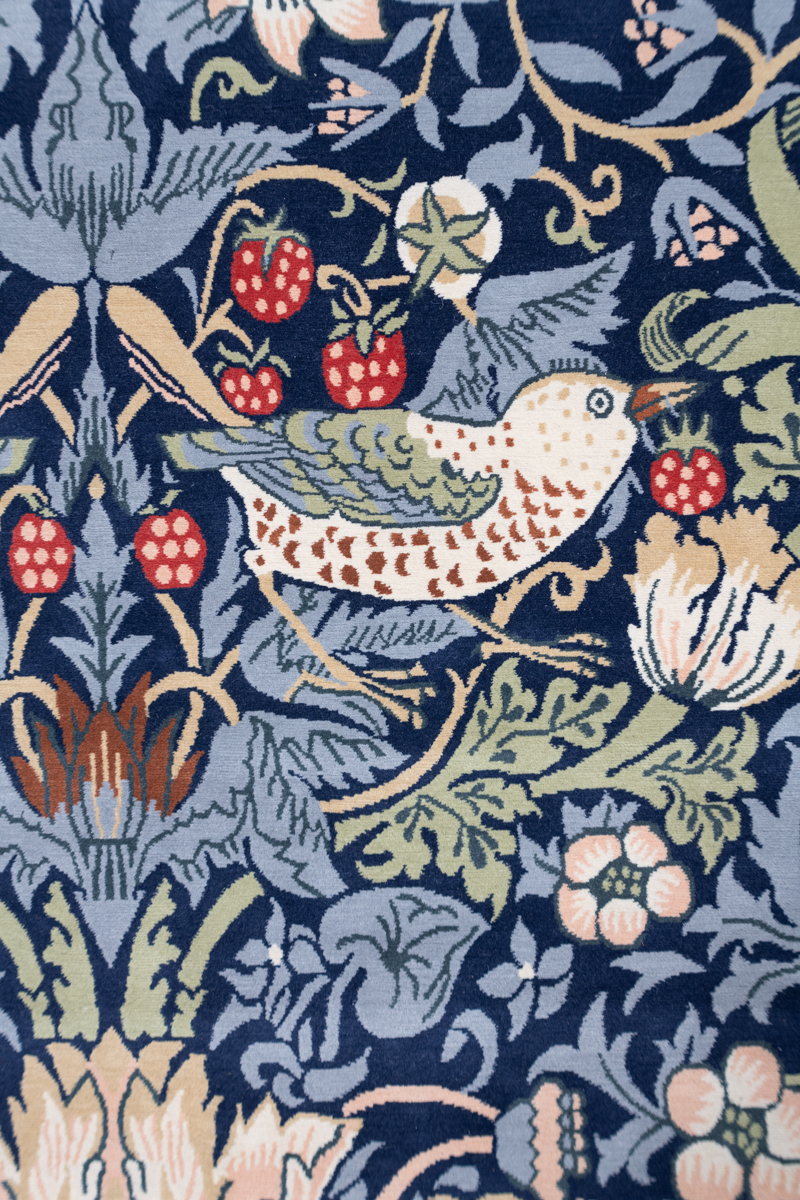 Floral Sparrow vloerkleed Brokking Vloerkledenspecialist.nl IJsselstein (12)